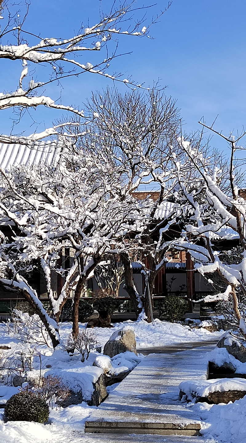 北京藝術館